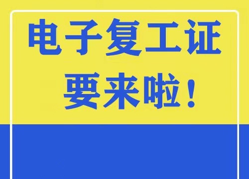 IT外包