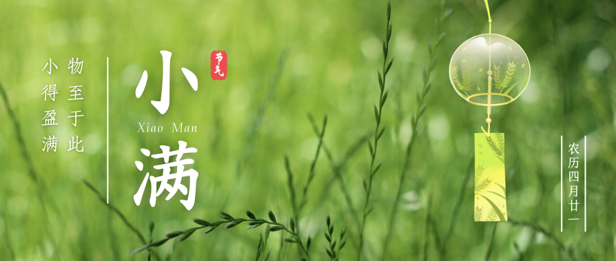 IT外包