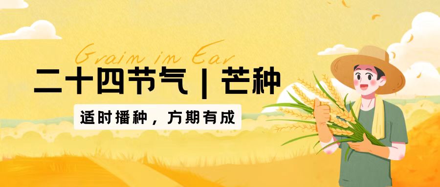 IT外包